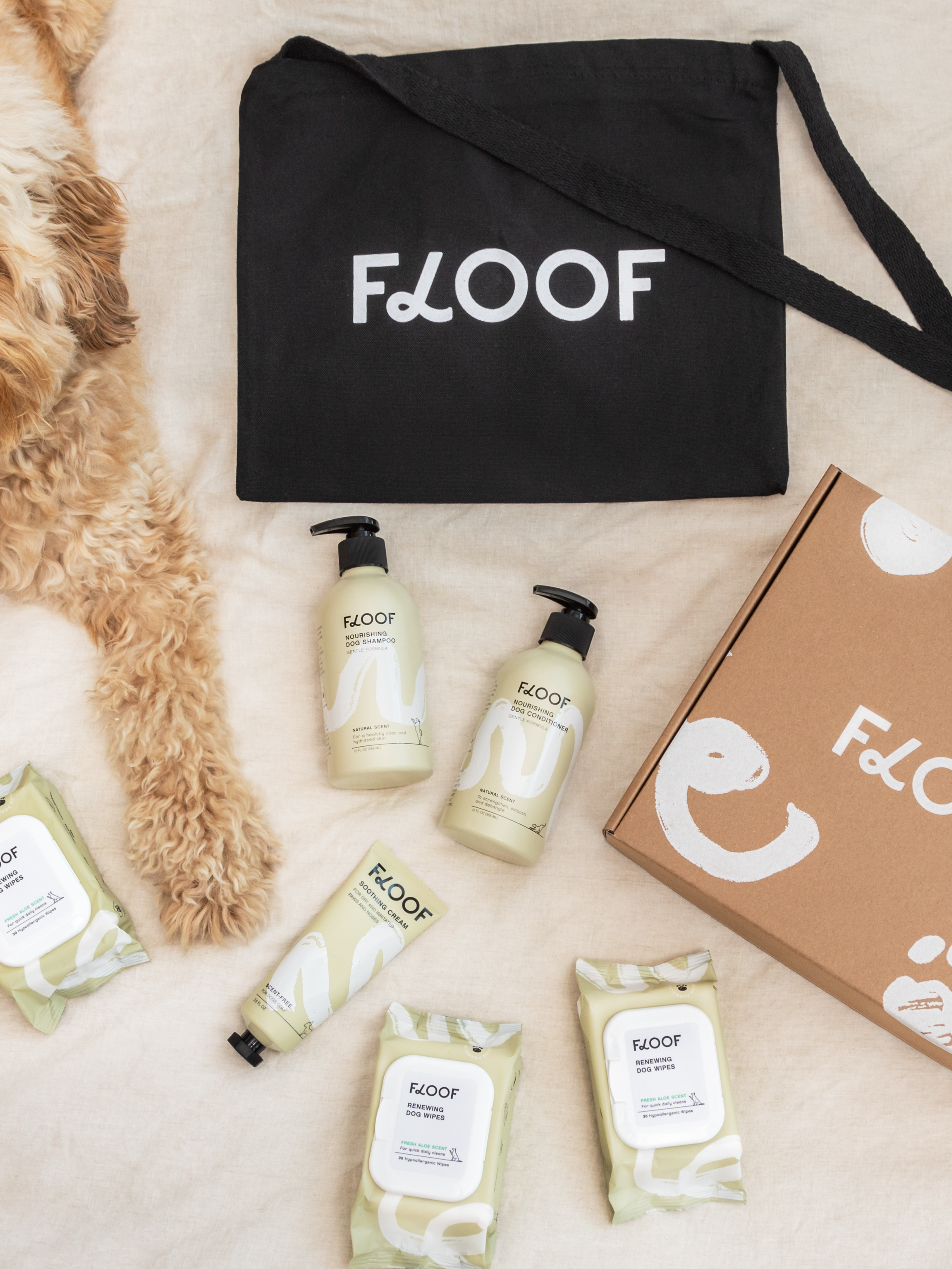 A Leap for Dog Skin Health: The Making of Floof’s Gentle Essentials Line